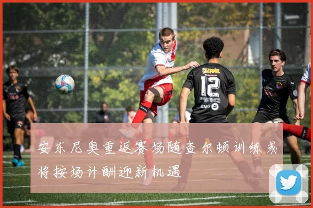 安东尼奥重返赛场随查尔顿训练或将按场计酬迎新机遇